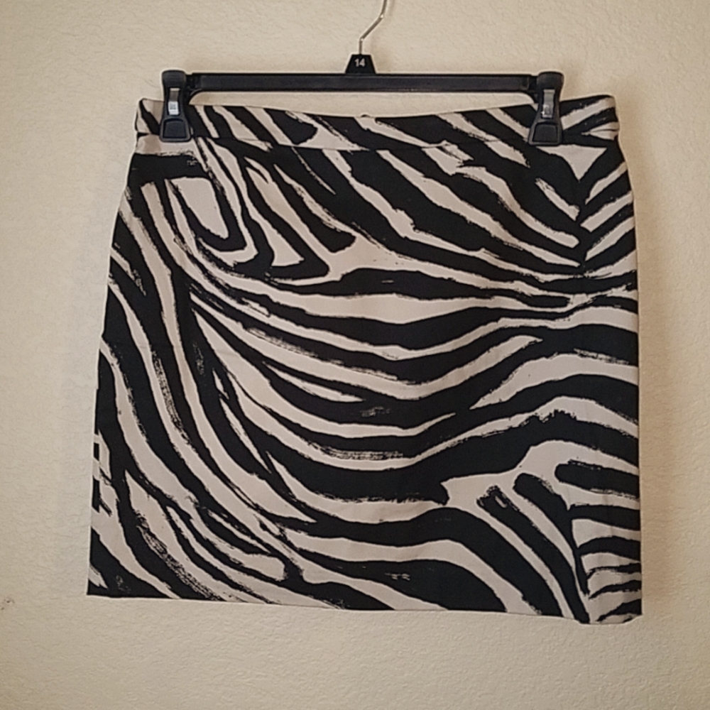 H&M Skirt